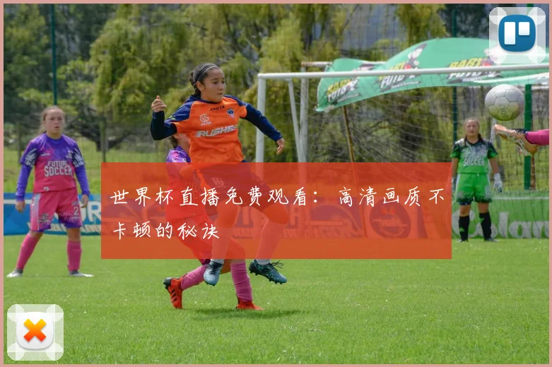 世界杯直播免费观看：高清画质不卡顿的秘诀